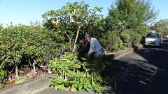 DSC00510.jpg