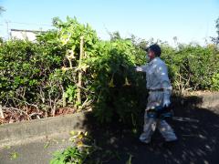 DSC00516.jpg