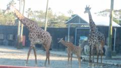 孫写真_201027_97.jpg