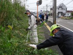 DSC00570.jpg