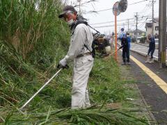 DSC00572.jpg