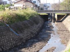 DSC00646.jpg