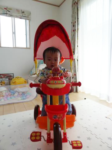 DSC01195.jpg
