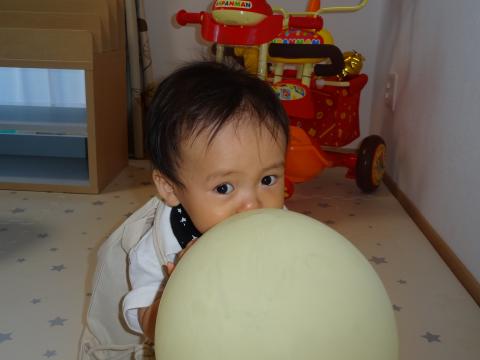 DSC01242.jpg