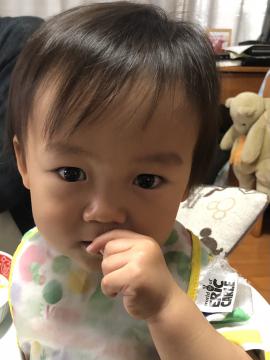 S__400113668.jpg